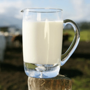 Fresh Whole Milk