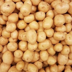 Organic Sweet Potato Powder