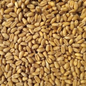 Organic Tiger Nut Flour Extra Fine