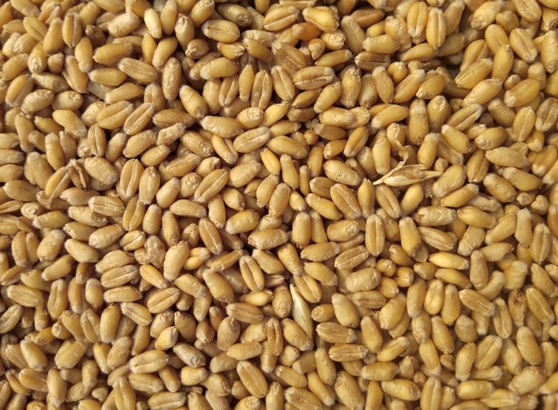 Organic Tiger Nut Flour Extra Fine